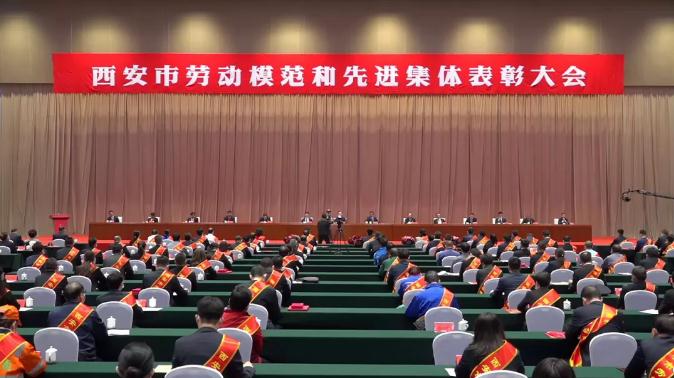 新葡的京集团350vip8888股份栗芬琴荣获“西安市劳动模范”荣誉称号