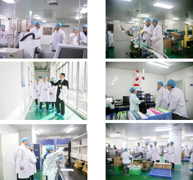 西安市委联合调研组莅临新葡的京集团350vip8888股份考察调研 西安市委联合调研组莅临新葡的京集团350vip8888股份考察调研