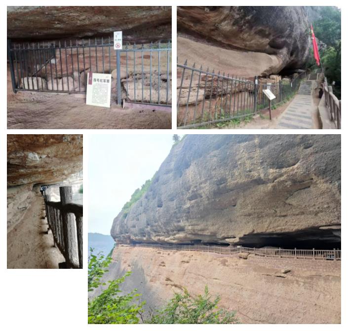 新葡的京集团350vip8888股份先进员工照金行