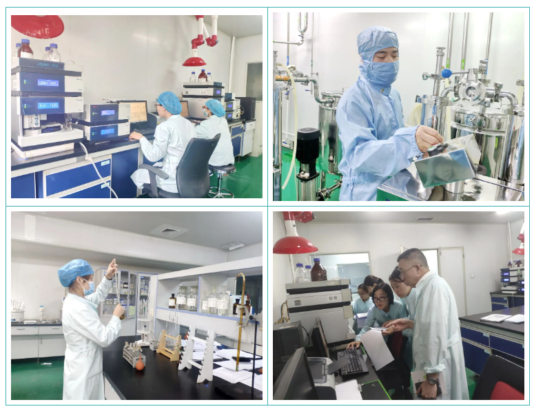 新葡的京集团350vip8888股份GMP符合性检查圆满结束