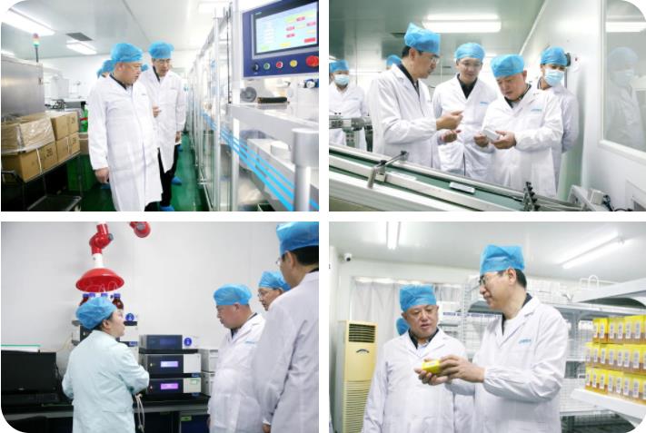 榆林市榆阳区政府领导莅临新葡的京集团350vip8888股份考察调研 榆林市榆阳区政府领导莅临新葡的京集团350vip8888股份考察调研