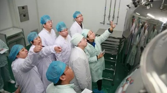 新葡的京集团350vip8888股份全面进行新版GMP认证自检